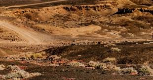 为什么投手在换局休息时需要穿着夹克以保持投球手臂的热度